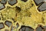 Polished, Yellow Crystal Filled Septarian Geode - Utah #112114-1